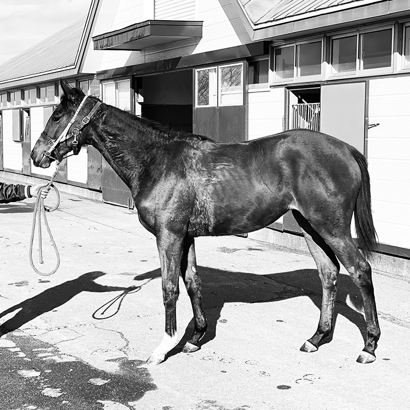 ロマンが飯を食う