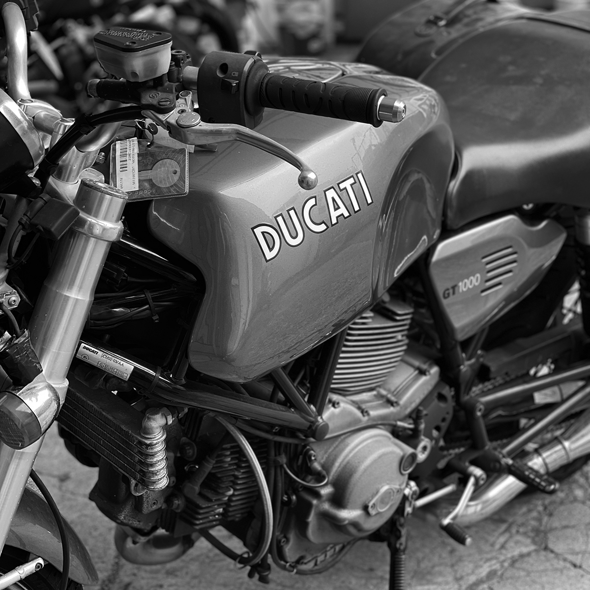 一目惚れの女はイタリア人